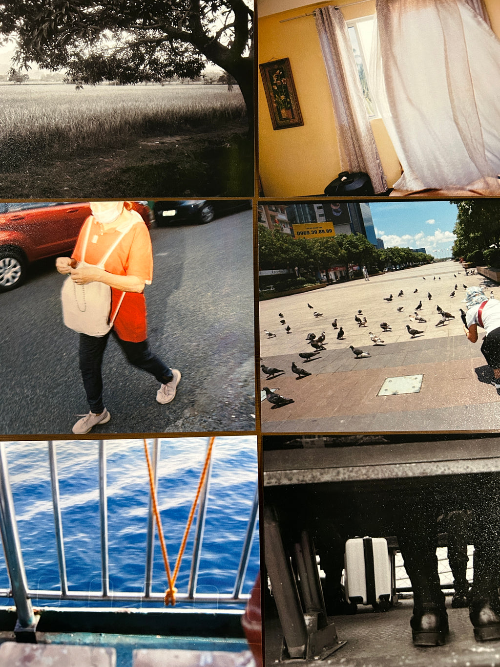 4R Prints