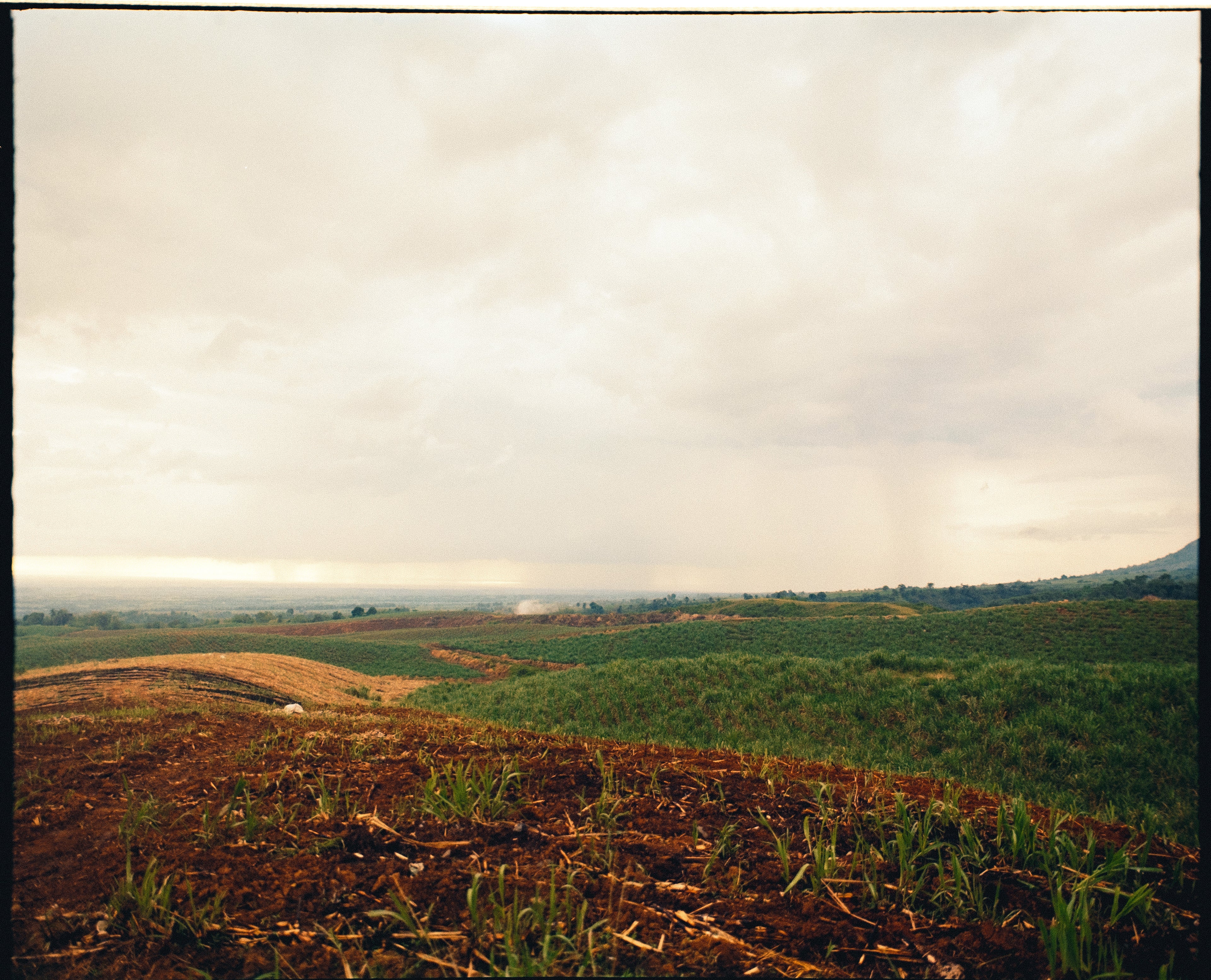 Dev & Scan (120) — C41